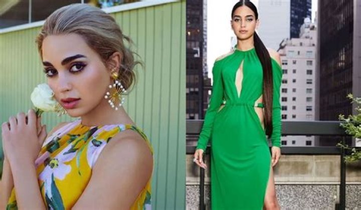 Ethnicity, Bikini Measurements, And More!