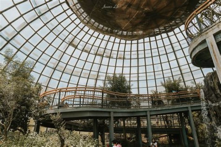 Exploring Maria Irene Toro's Life, Career, And Beyond